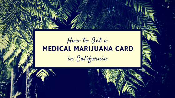 The Weed Blog - Medical Marijuana News